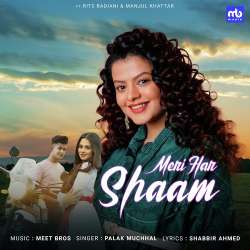 Meri Har Shaam Official Audio