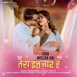 Tera Intezar Hai Official Audio