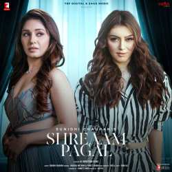 Shreaam Pagal Official Audio