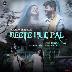 Beete Hue Pal Official Audio