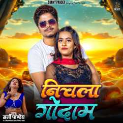 Nichala Godam Official Audio