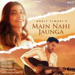 Main Nahi Jaunga Official Audio