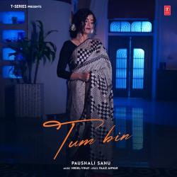 Tum Bin Official Audio