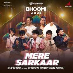 Mere Sarkaar (feat. Ali Brothers, Raj Pandit And Shivam Bhardwaj) Official Audio