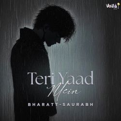 Teri Yaad Mein Official Audio