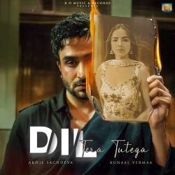 Dil Tera Tutega Official Audio