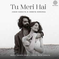 Tu Meri Hai Official Audio