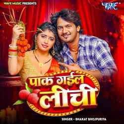 Pak Gail Lichi Official Audio