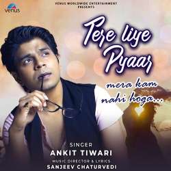Tere Liye Pyaar Mera Kam Nahi Hoga Official Audio