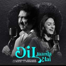 Dil Jaanta Hai Official Audio