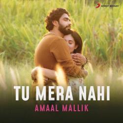 Tu Mera Nahi Official Audio