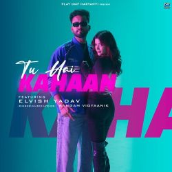 Tu Hai Kahaan Official Audio