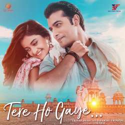 Tere Ho Gaye (Duet) Official Audio
