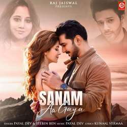Sanam Aa Gaya Official Audio