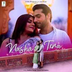 Nasha Tera Official Audio