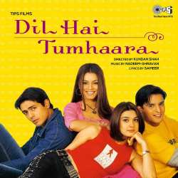 Dil Hai Tumhaara Official Audio