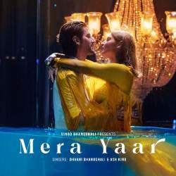 Mera Yaar Official Audio