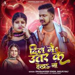 Dil Me Utar Ke Dekha Na Official Audio