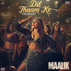 Dil Thaam Ke Official Audio