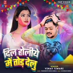 Dil Holiye Men Tod Delu Official Audio