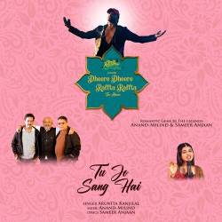 Tu Jo Sang Hai Official Audio