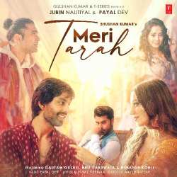 Meri Tarah Official Audio
