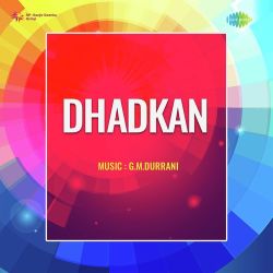 Shab E Gham Aap Mere Paas Official Audio