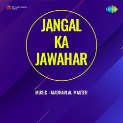 Shrimati Aao Na Main Jaoon Official Audio