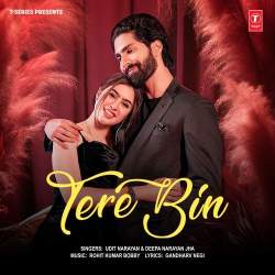 Tere Bin - Deepa Narayan Jha Official Audio