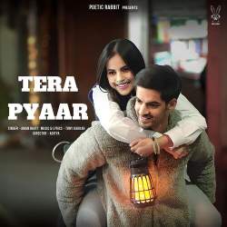 Tera Pyaar Official Audio