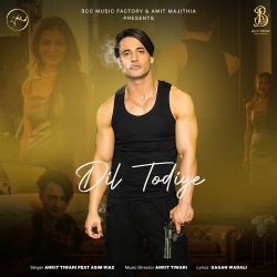Dil Todiye Official Audio