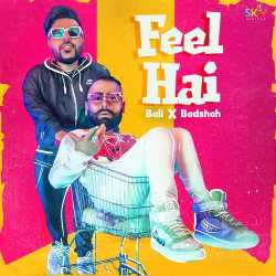 Feel Hai Official Audio