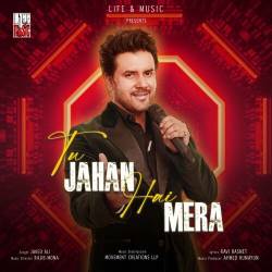 Tu Jahan Hai Mera Official Audio