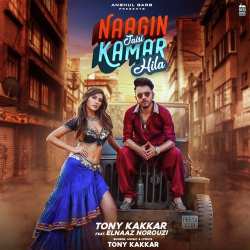 Naagin Jaisi Kamar Hila Official Audio