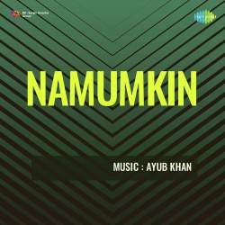 Beet Gaya Din Raha Takat Official Audio