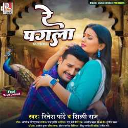Re Pagla Official Audio
