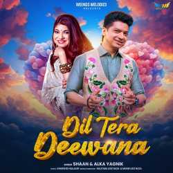 Dil Tera Deewana Official Audio