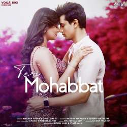 Teri Mohabbat Official Audio