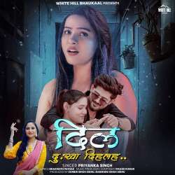 Dil Dukha Dihala Official Audio