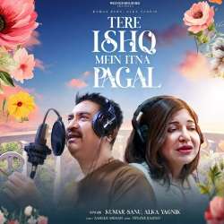Tere Ishq Mein Itna Pagal Official Audio