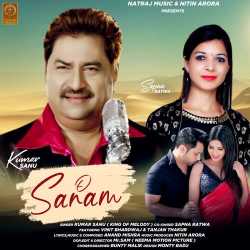 O Sanam Official Audio