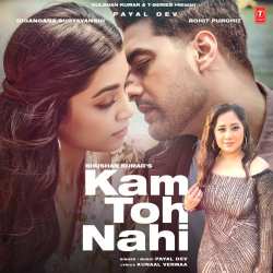 Kam Toh Nahi Official Audio