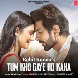 Tum Kho Gaye Ho Kaha Official Audio