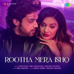 Rootha Mera Ishq Official Audio