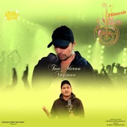 Tuu Meraa Naginaa Official Audio