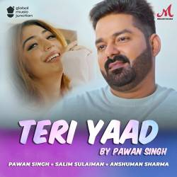 Teri Yaad Official Audio