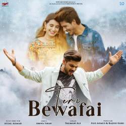 Teri Bewafai Official Audio