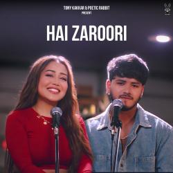 Hai Zaroori Official Audio