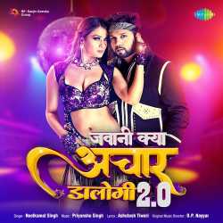 Jawani Kya Achar Dalogi 2.0 Official Audio