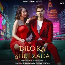 Dilo Ka Shehzada Official Audio